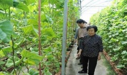 获嘉吃瓜最新事件爆料是真的吗,最新爆料真相揭秘